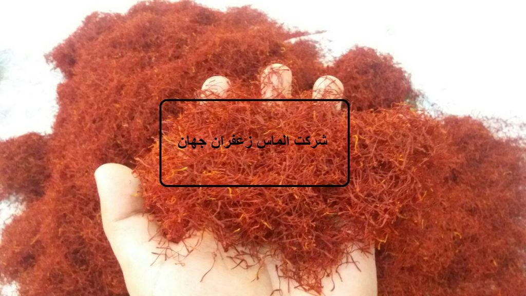 قیمت هر کیلو زعفران در افغانستان
