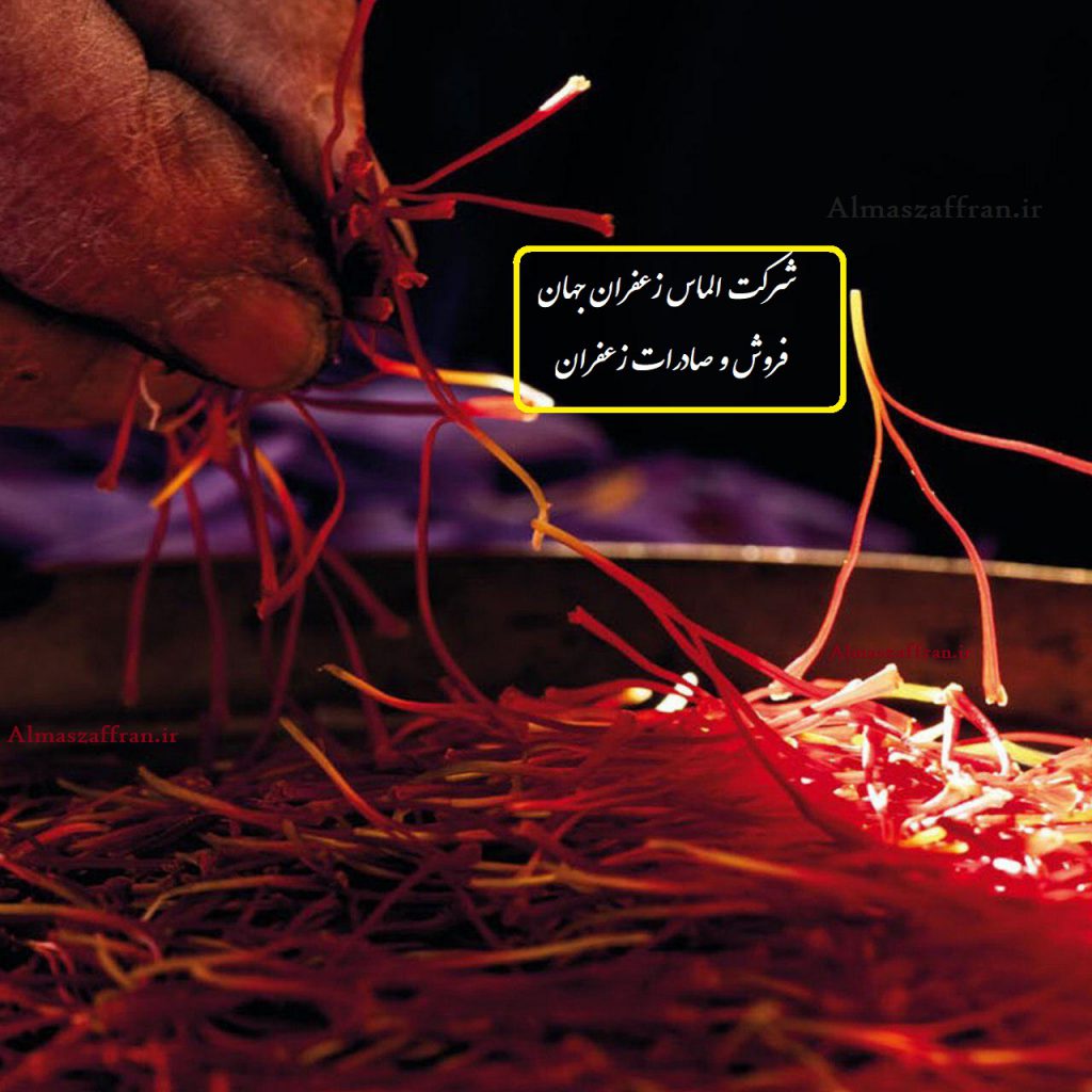 گزارش خرید زعفران در اکتبر