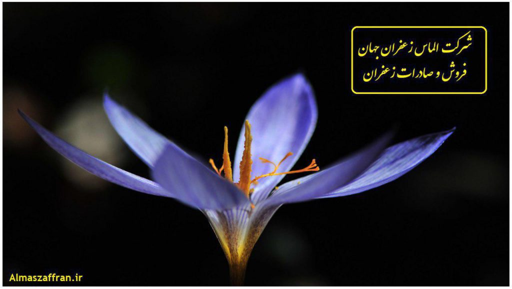خرید و فروش عمده زعفران