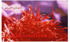 قیمت خرید و فروش زعفران عمده