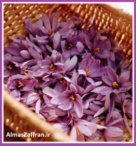 قیمت فروش زعفران و خرید زعفران از کشاورز