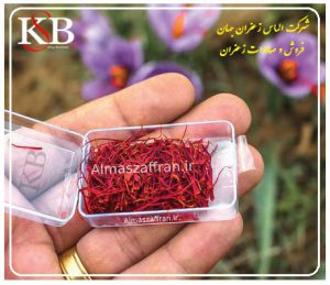 تولید زعفران ارگانیک