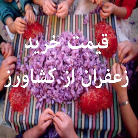 قیمت خرید زعفران از کشاورز امسال