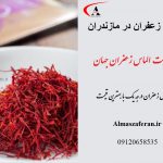 Saffron prices in Mazandaran