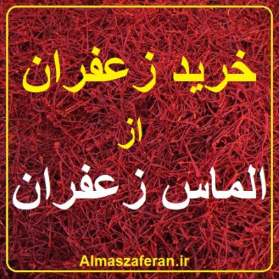 تامین کنندگان زعفران