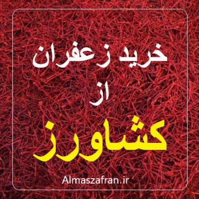خرید زعفران از کشاورز