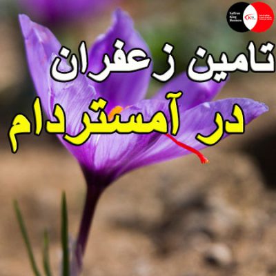 تامین زعفران در آمستردام