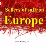 تامین‌کننده زعفران در اروپا