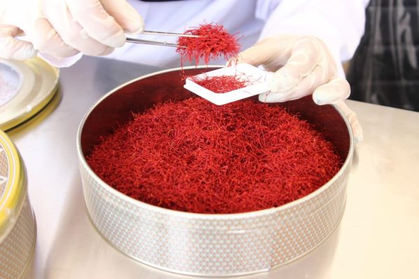 مرکز فروش زعفران در شاهرود + خانم طالعی