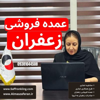 سرکار خانم نوابی