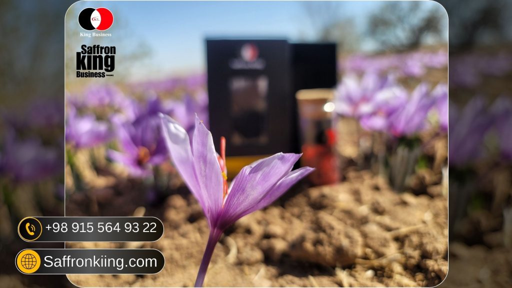 صادرات بهترین زعفران ایرانی
