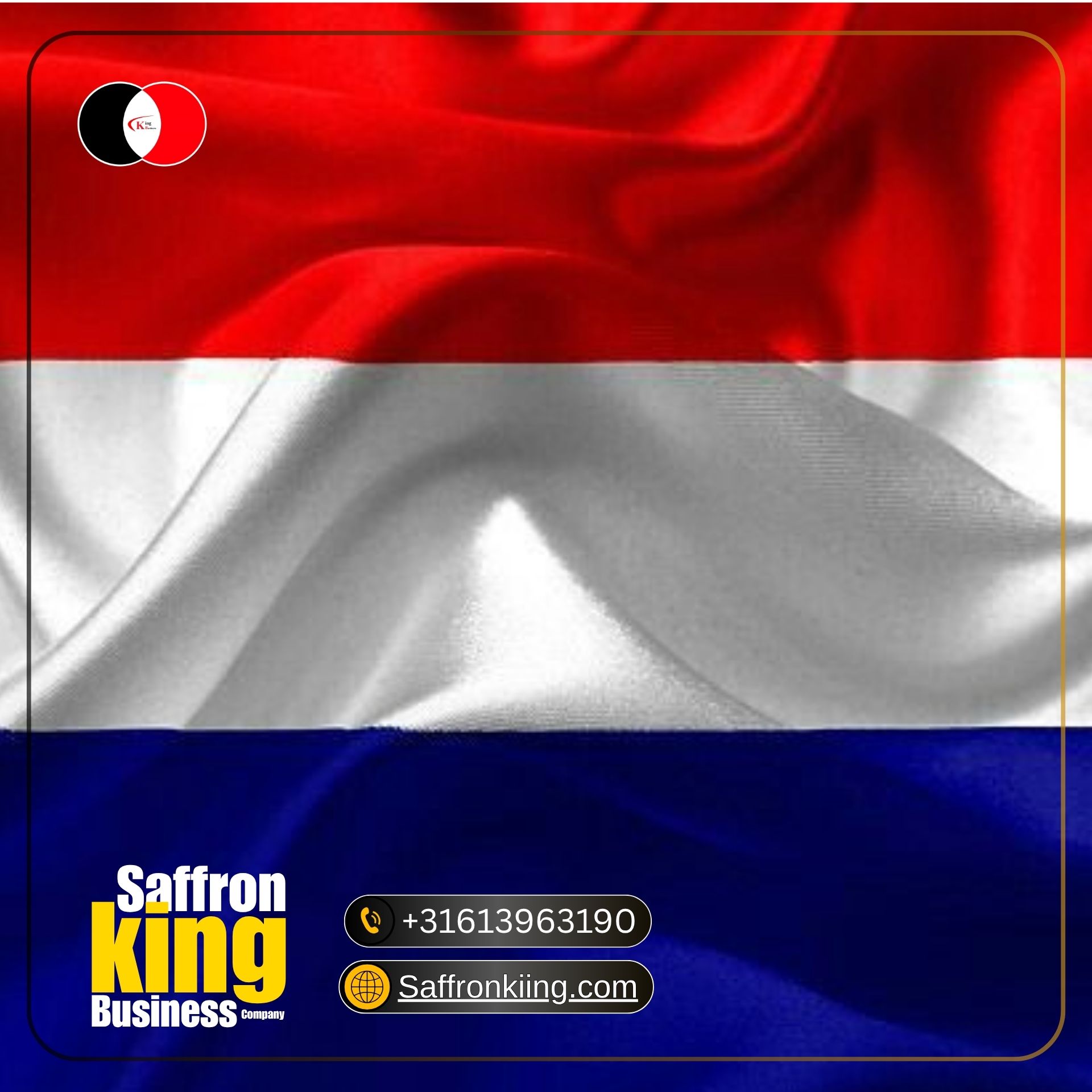 Saffron price Netherlands + CEO Saeed Yousefi in Saffron King Business Company