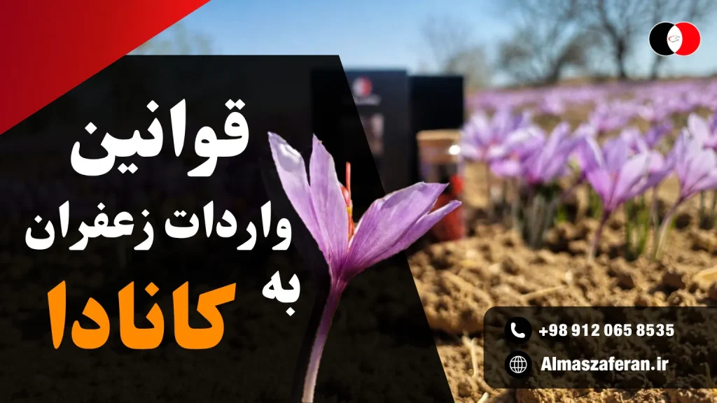 قوانین صادرات زعفران