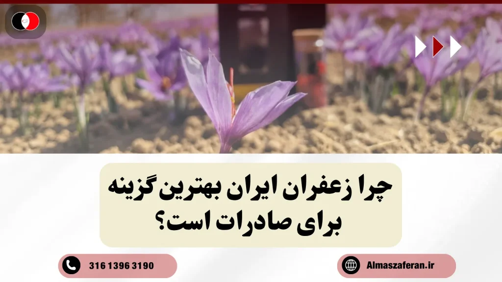 بهترین گزینه برای صادرات زعفران